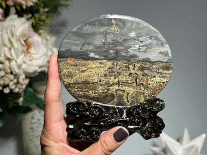 Picture Jasper Slice #219