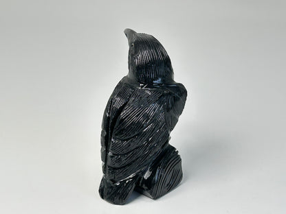 Onyx Crow (3.2", 81mm)