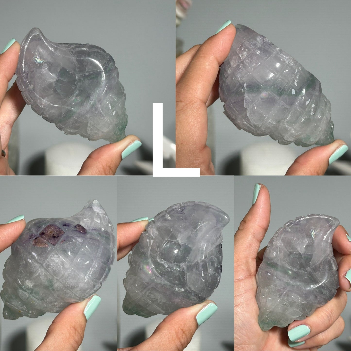 Fluorite Seashell