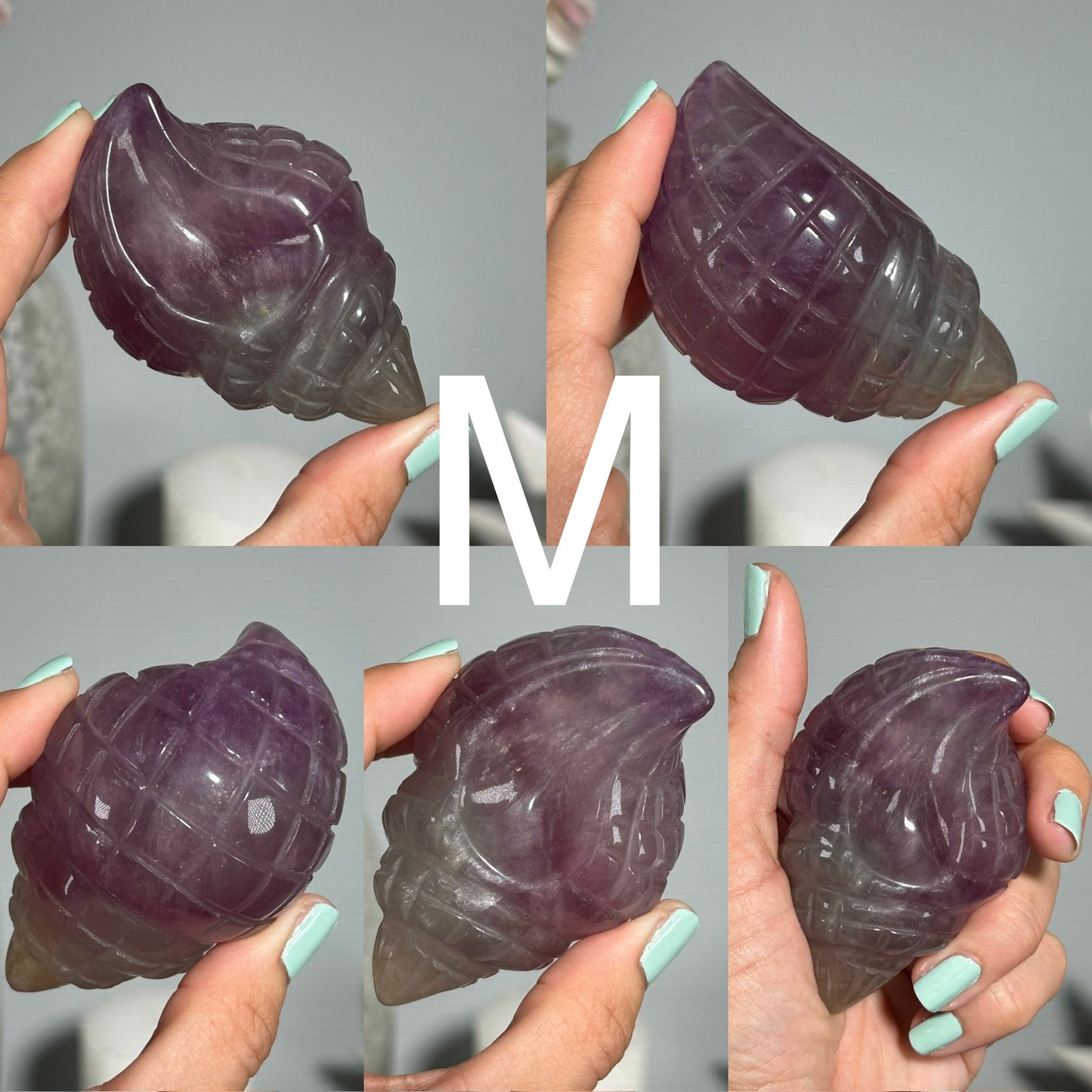 Fluorite Seashell