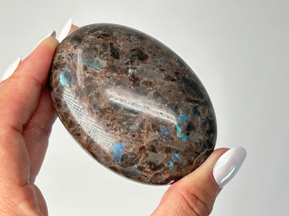 Brown Larvikite Palm Stone (2.9", 74mm)