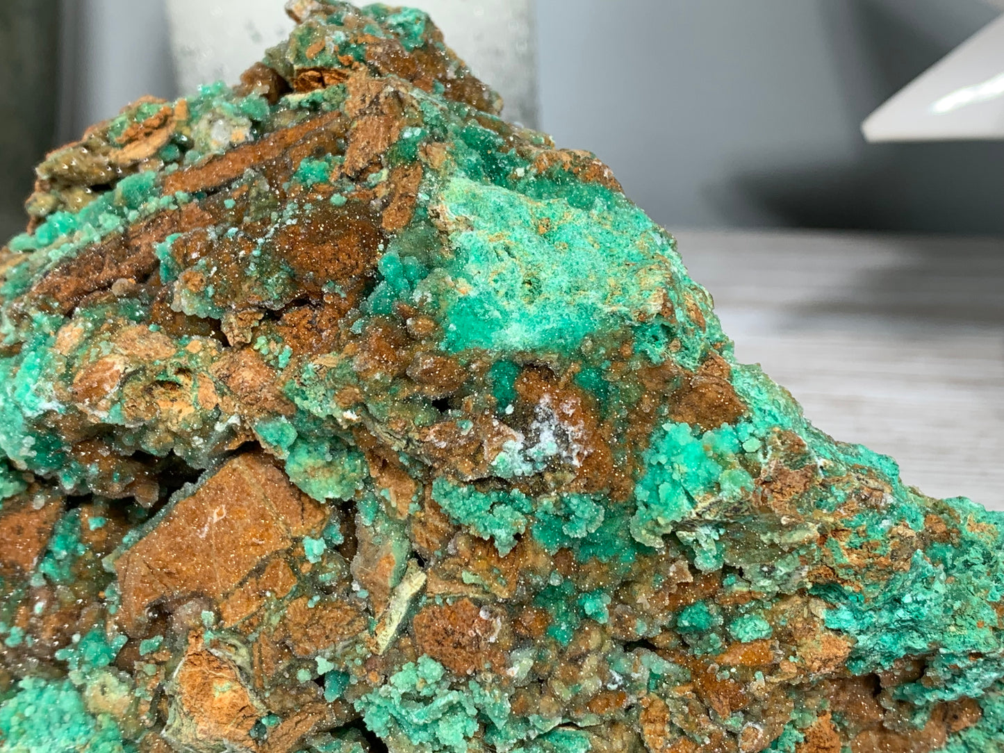 Druzy Chrysoprase (6.2", 157mm)