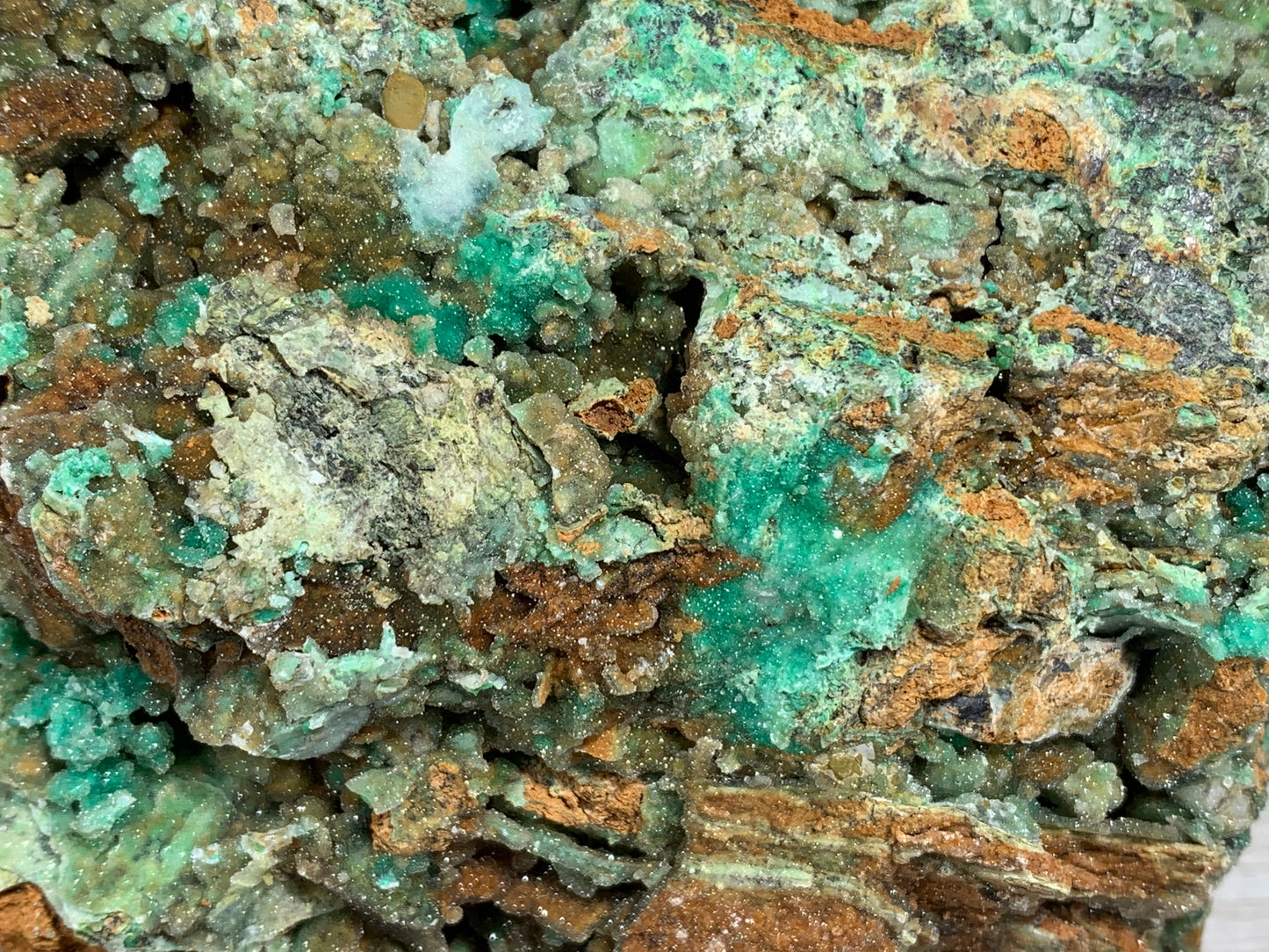 Druzy Chrysoprase (5.9", 150mm)