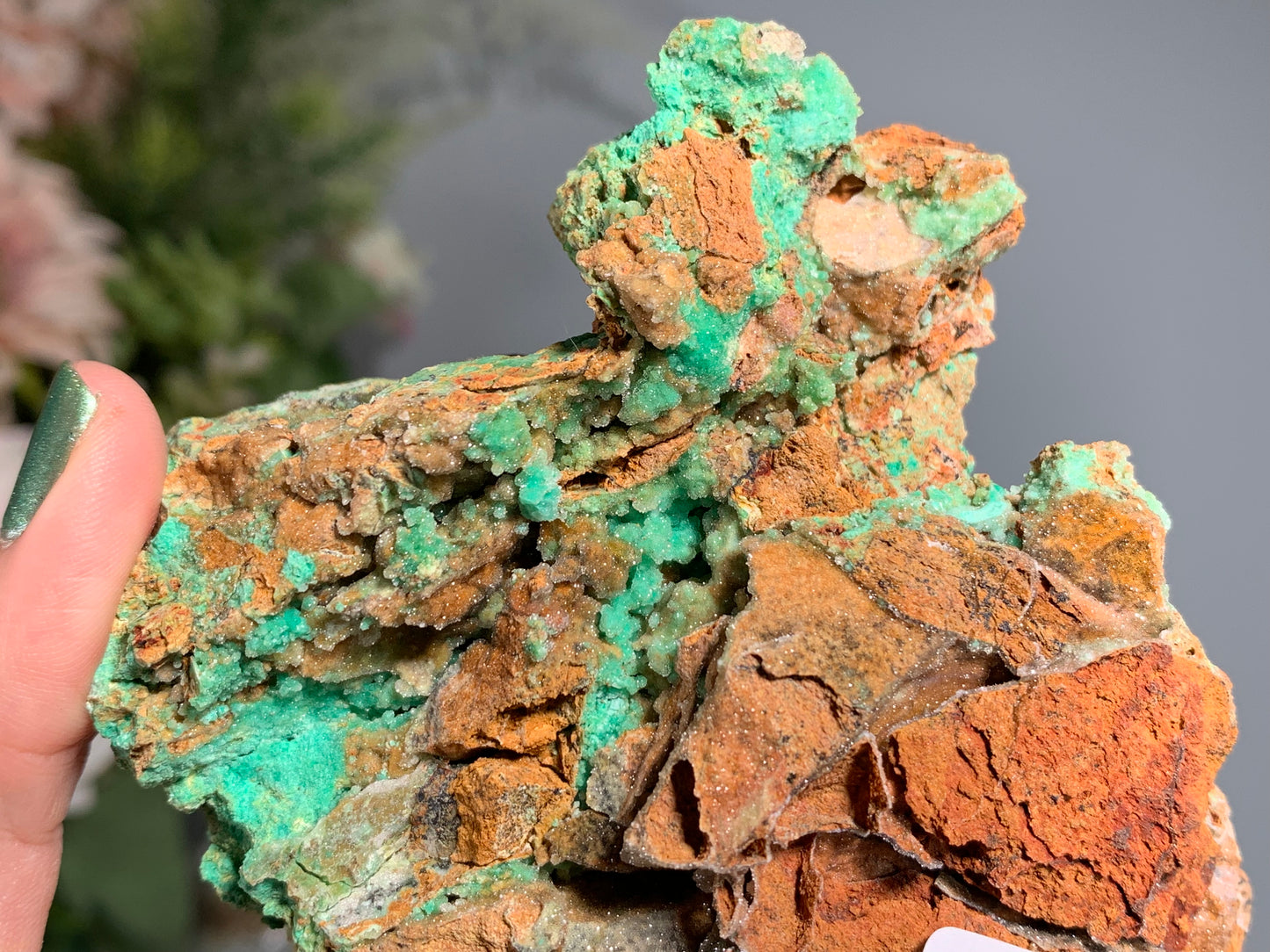 Druzy Chrysoprase (4.25", 108mm)