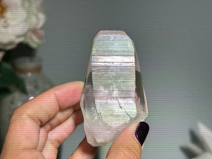 Lemurian Seed (2.75”, 70mm)