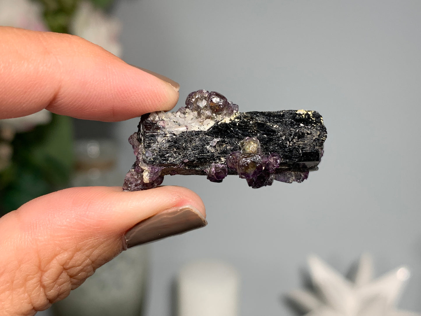 Natural Black Tourmaline with Fluorite Flowers (1.5", 38mm)