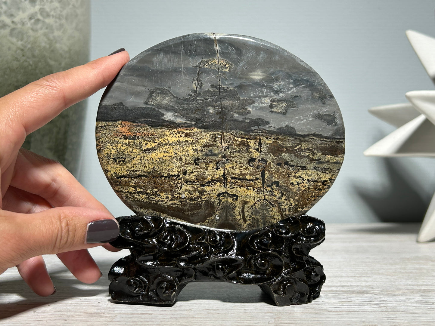 Picture Jasper Slice #219