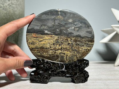 Picture Jasper Slice #219