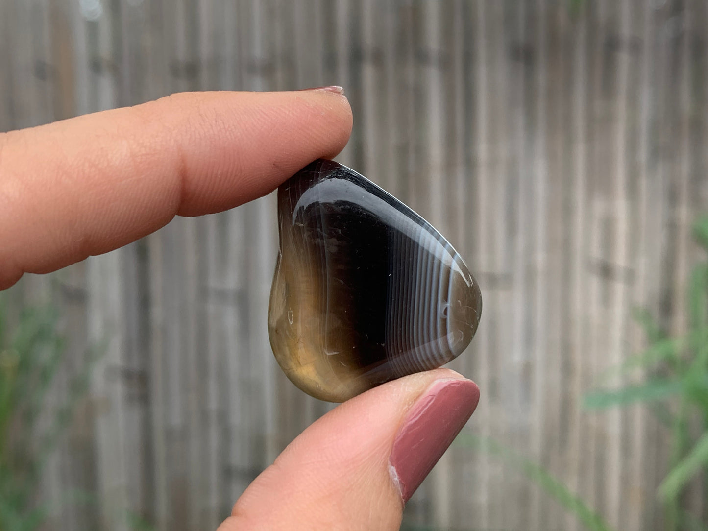 Tumbled Botswana Agate