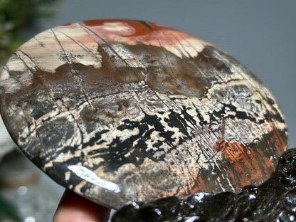 Picture Jasper Slice #344
