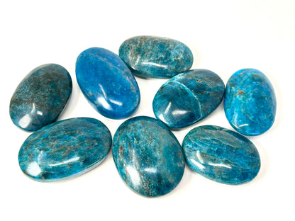 Apatite Palm Stone (2-2.3", 50-58mm)
