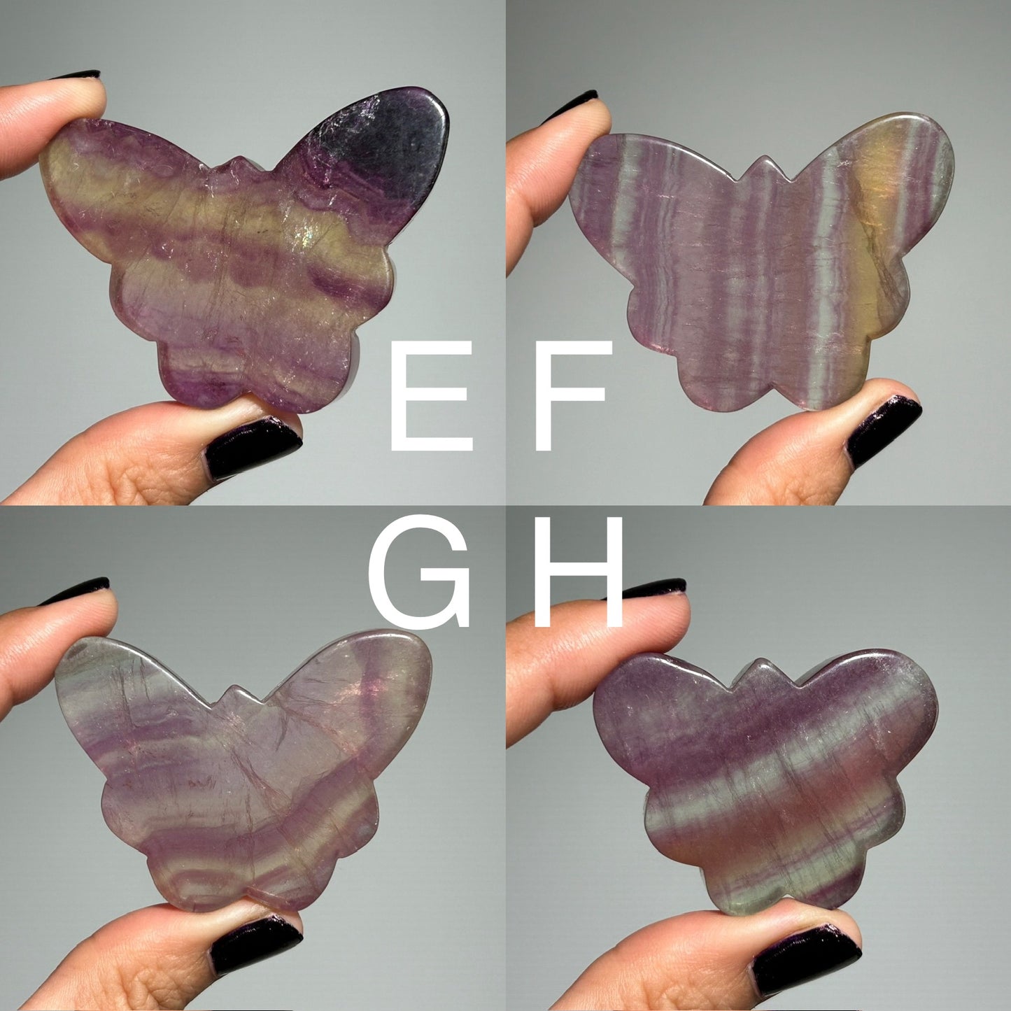 Fluorite Butterfly