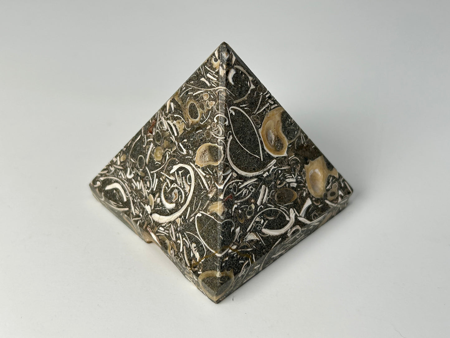 Turritella Agate Pyramid (#TA35)