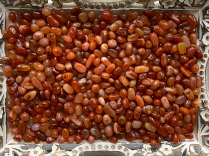 Tumbled Carnelian XS