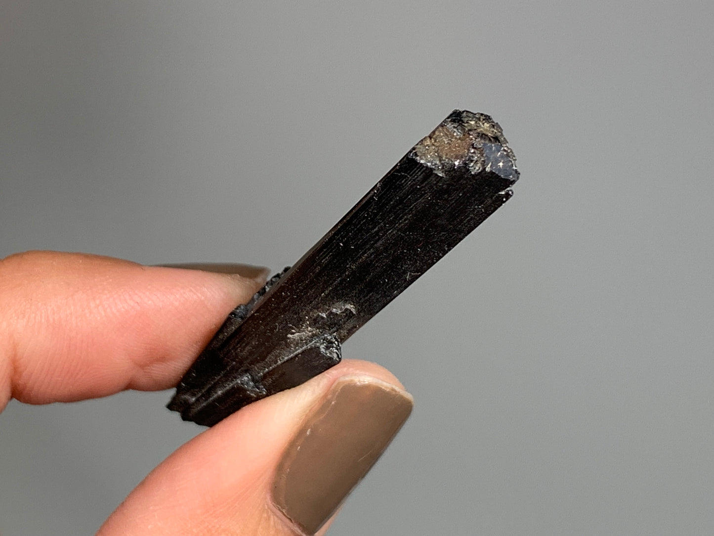 Natural Black Tourmaline (1.7", 42mm)