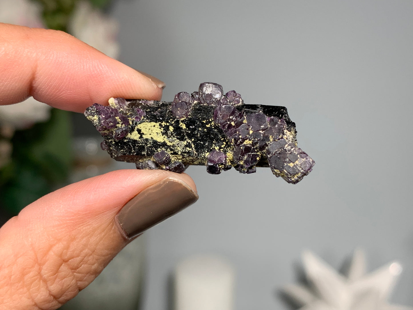 Natural Black Tourmaline with Fluorite Flowers (1.5", 38mm)