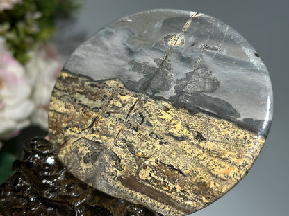 Picture Jasper Slice #219