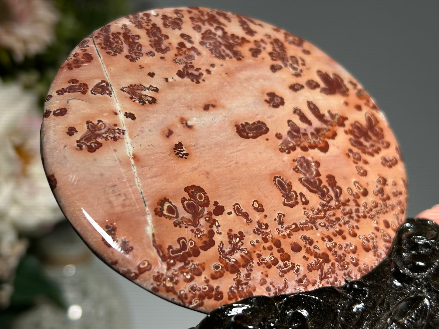 Picture Jasper Slice #255