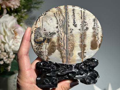 Picture Jasper Slice #234