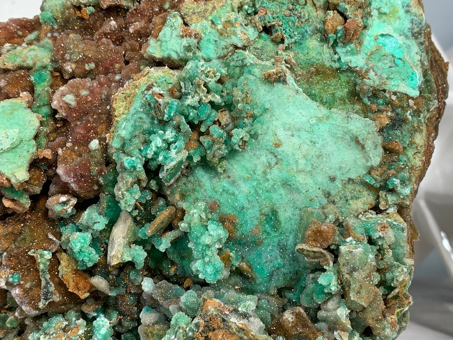 Druzy Chrysoprase (6.8", 174mm)