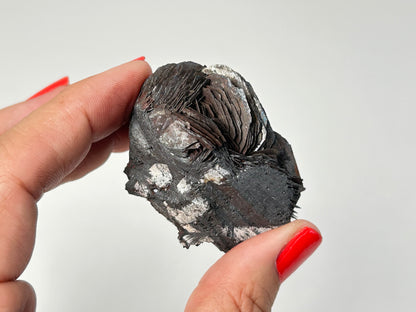Specularite (1.9", 48mm)