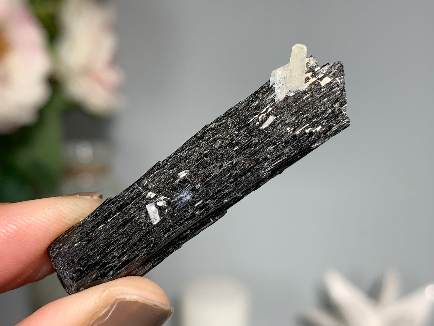 Natural Black Tourmaline with Aquamarine (1.8", 46mm)