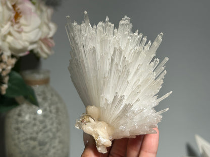 Natural Scolecite with Stilbite Cluster (4.9", 124mm)