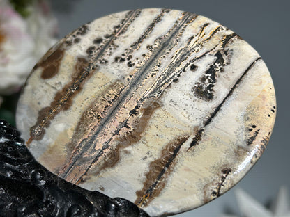 Picture Jasper Slice #234