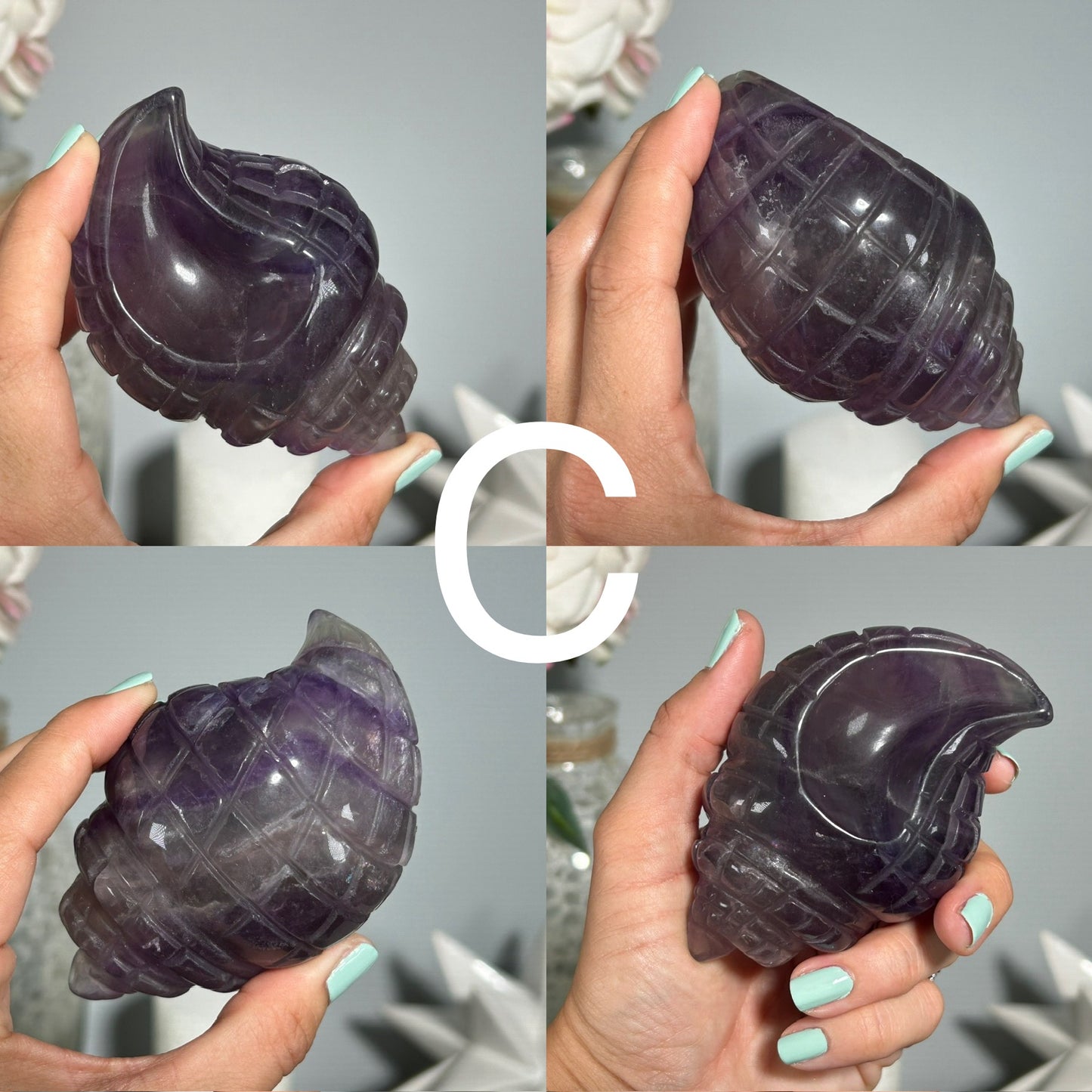 Fluorite Seashell