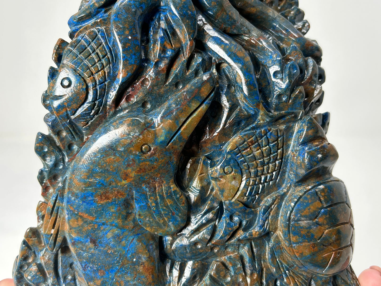 Phoenix Pine Ocean Scenery (7.6", 193mm)