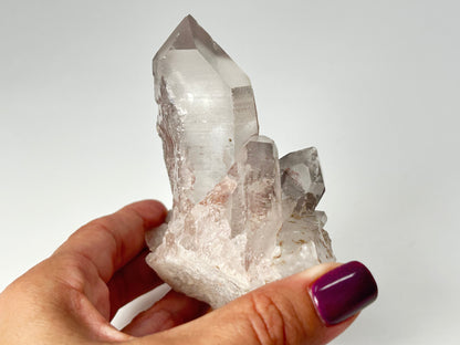 Pink Lemurian Seed (3.7", 94mm)