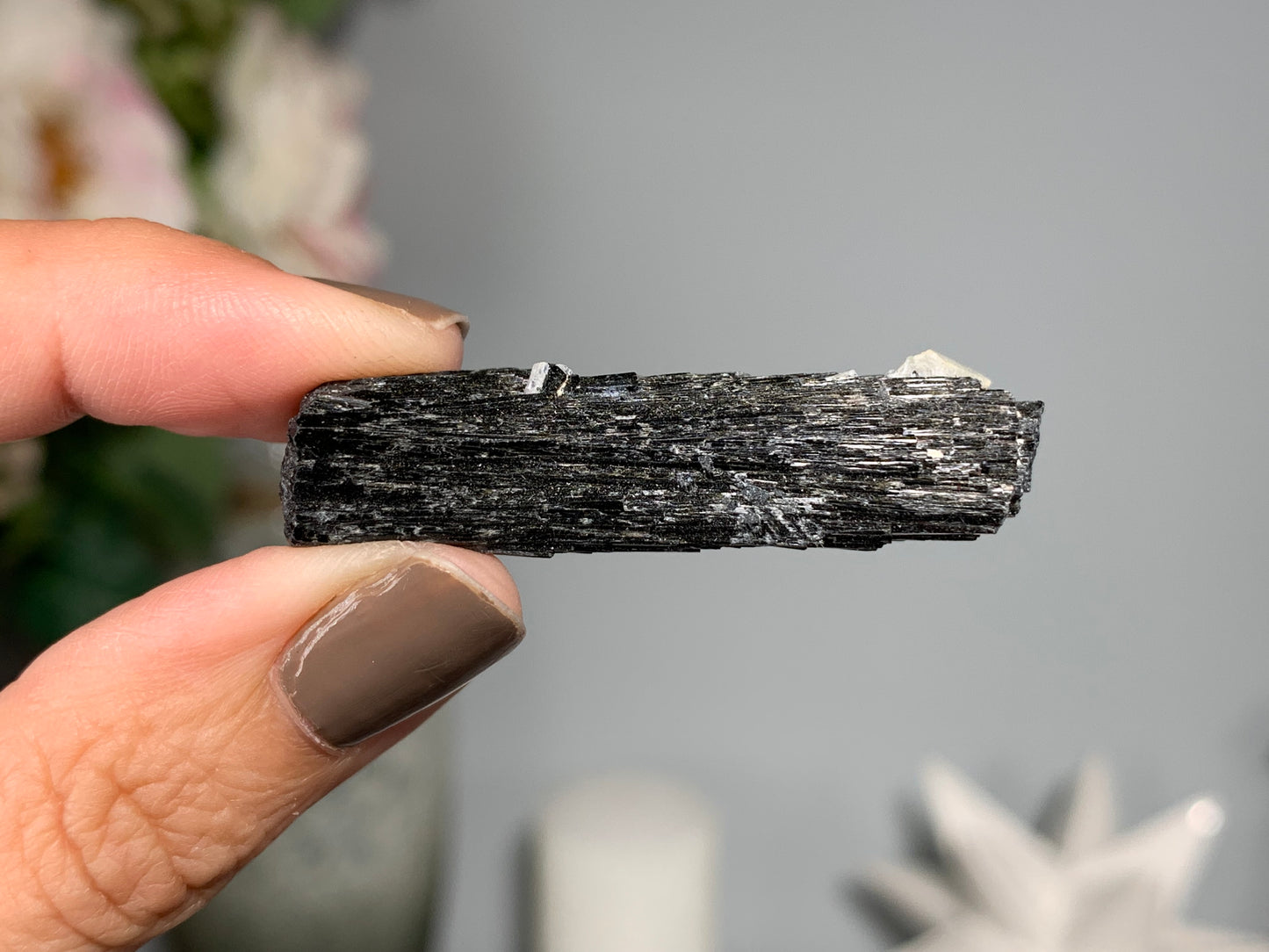 Natural Black Tourmaline with Aquamarine (1.8", 46mm)