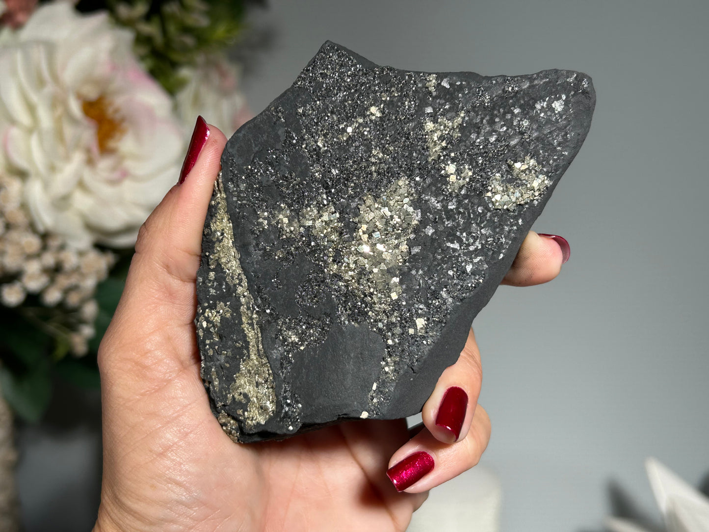 Pyrite on Shungite (4.6", 117mm)