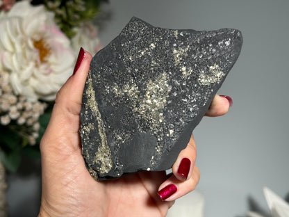 Pyrite on Shungite (4.6", 117mm)