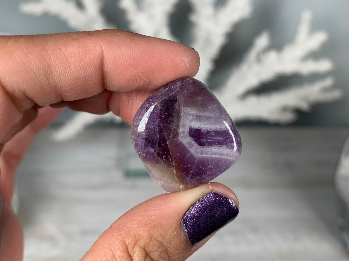 Tumbled Dog Tooth Amethyst Large