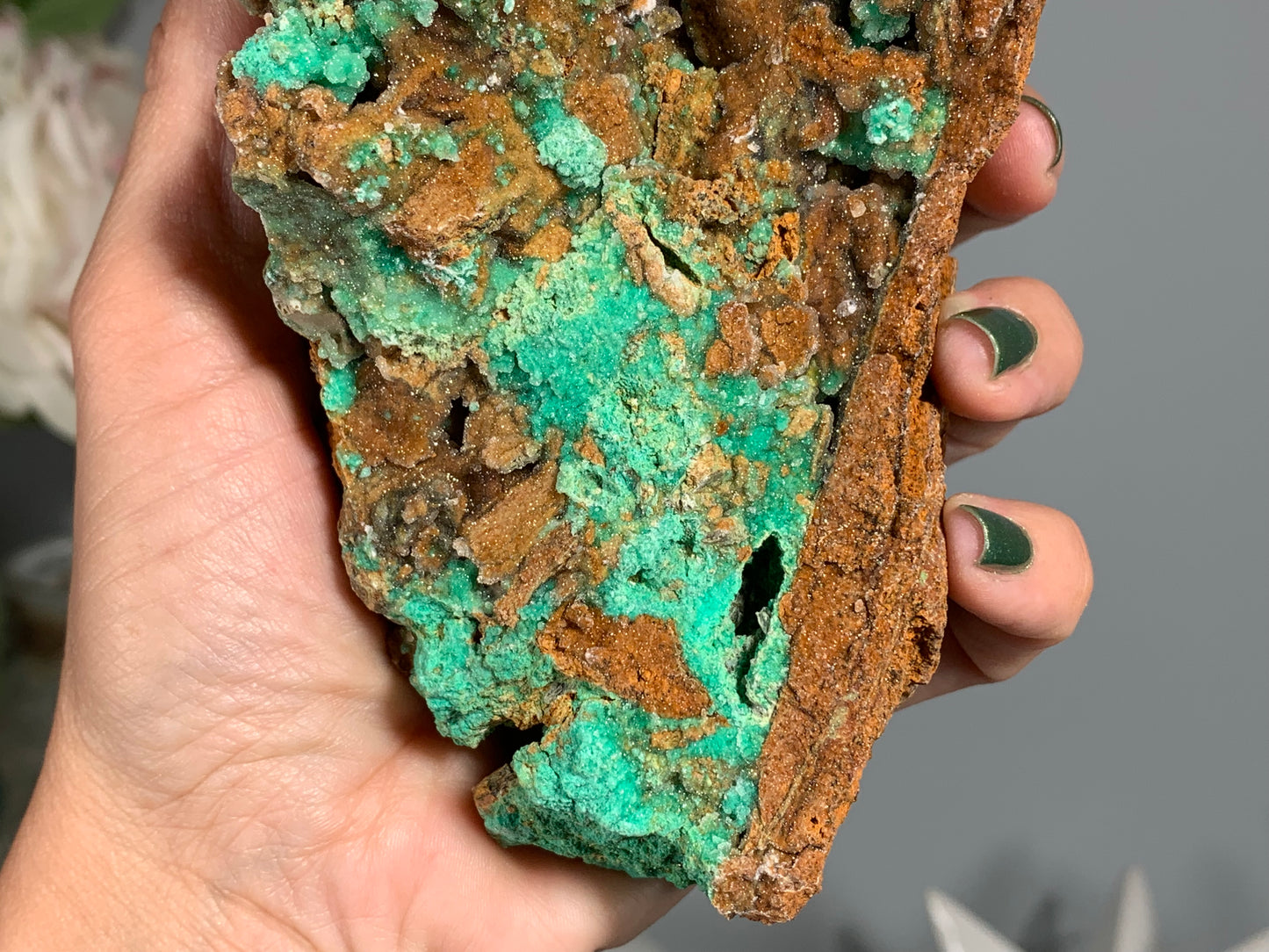 Druzy Chrysoprase (5.2", 132mm)