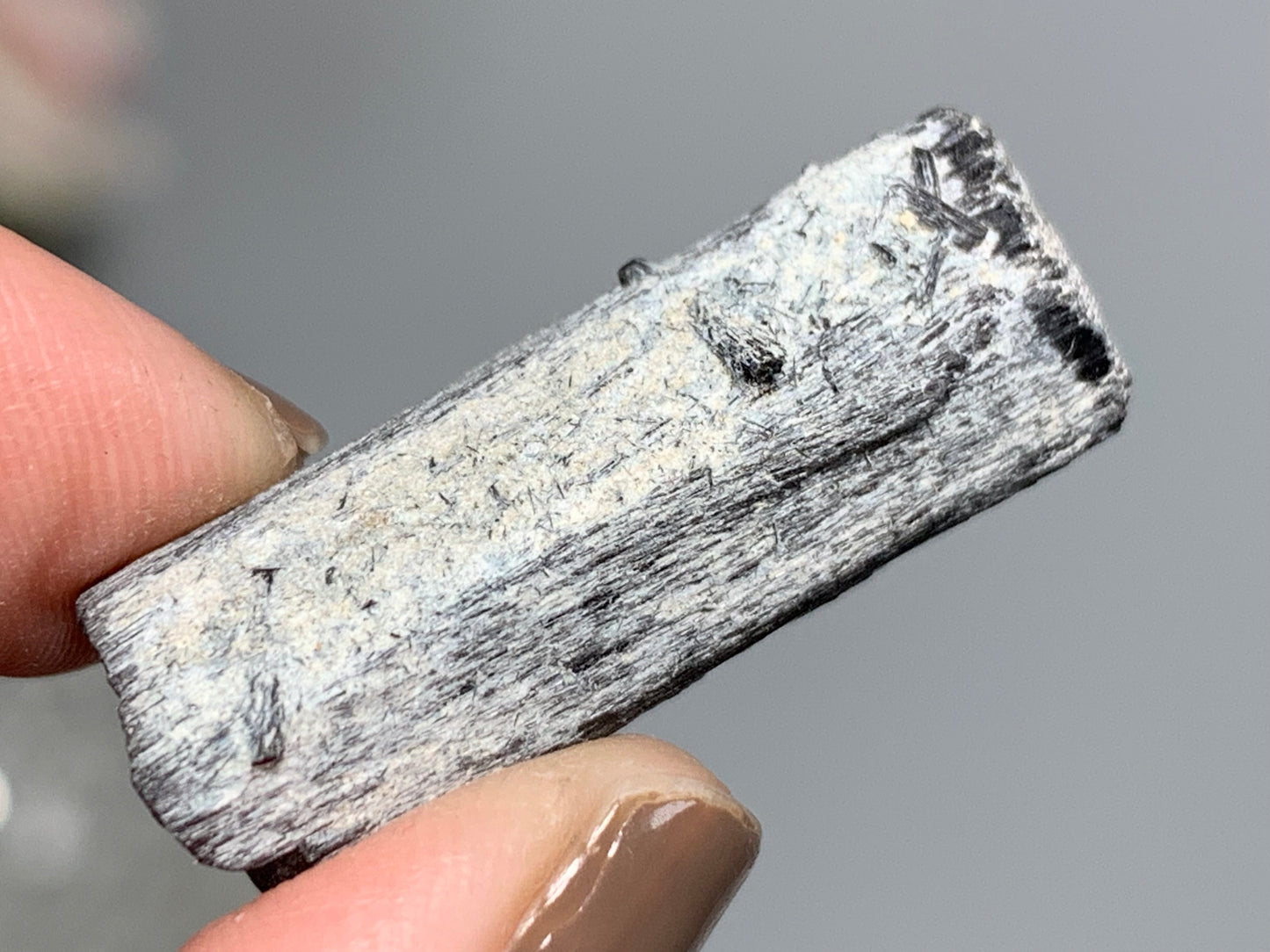 Natural Black Tourmaline (1.2", 31mm)