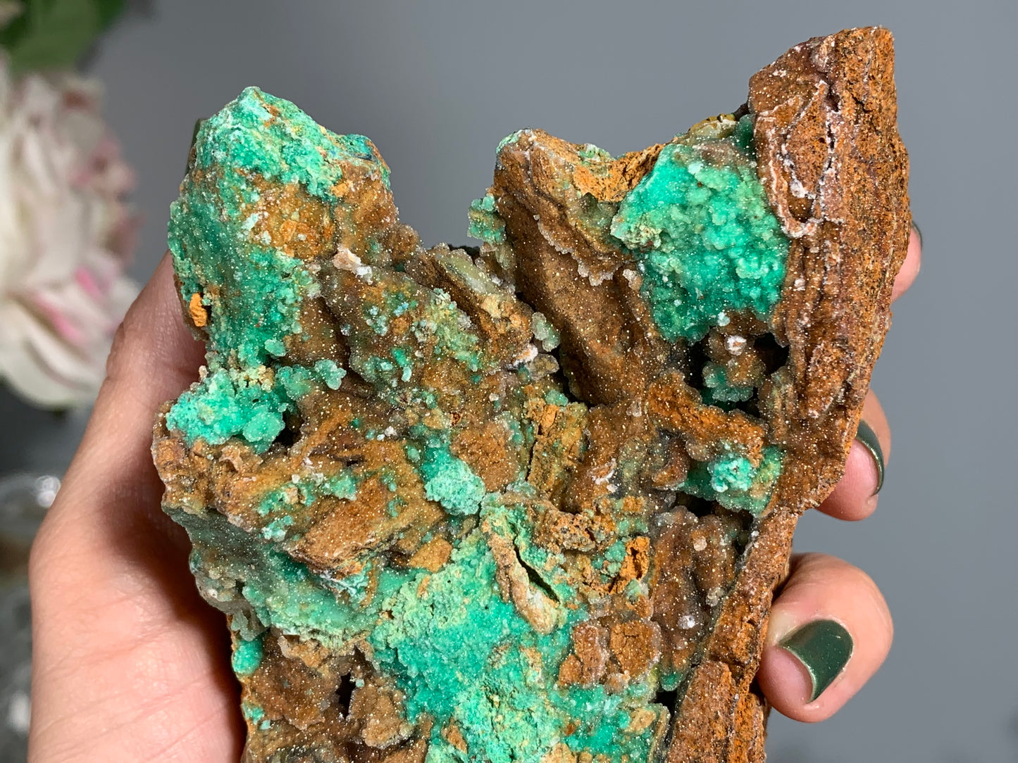 Druzy Chrysoprase (5.2", 132mm)