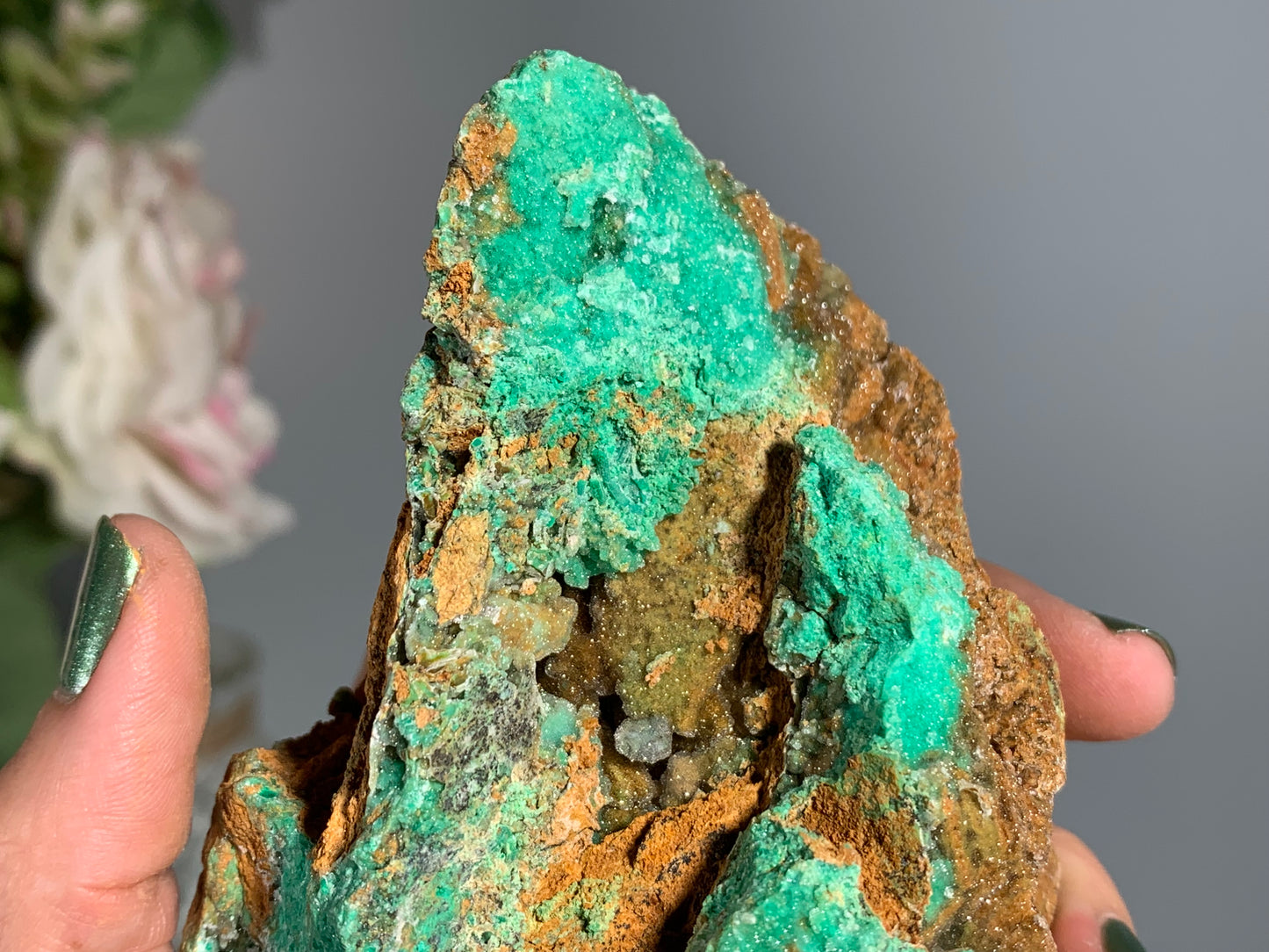 Druzy Chrysoprase (5.4", 136mm)