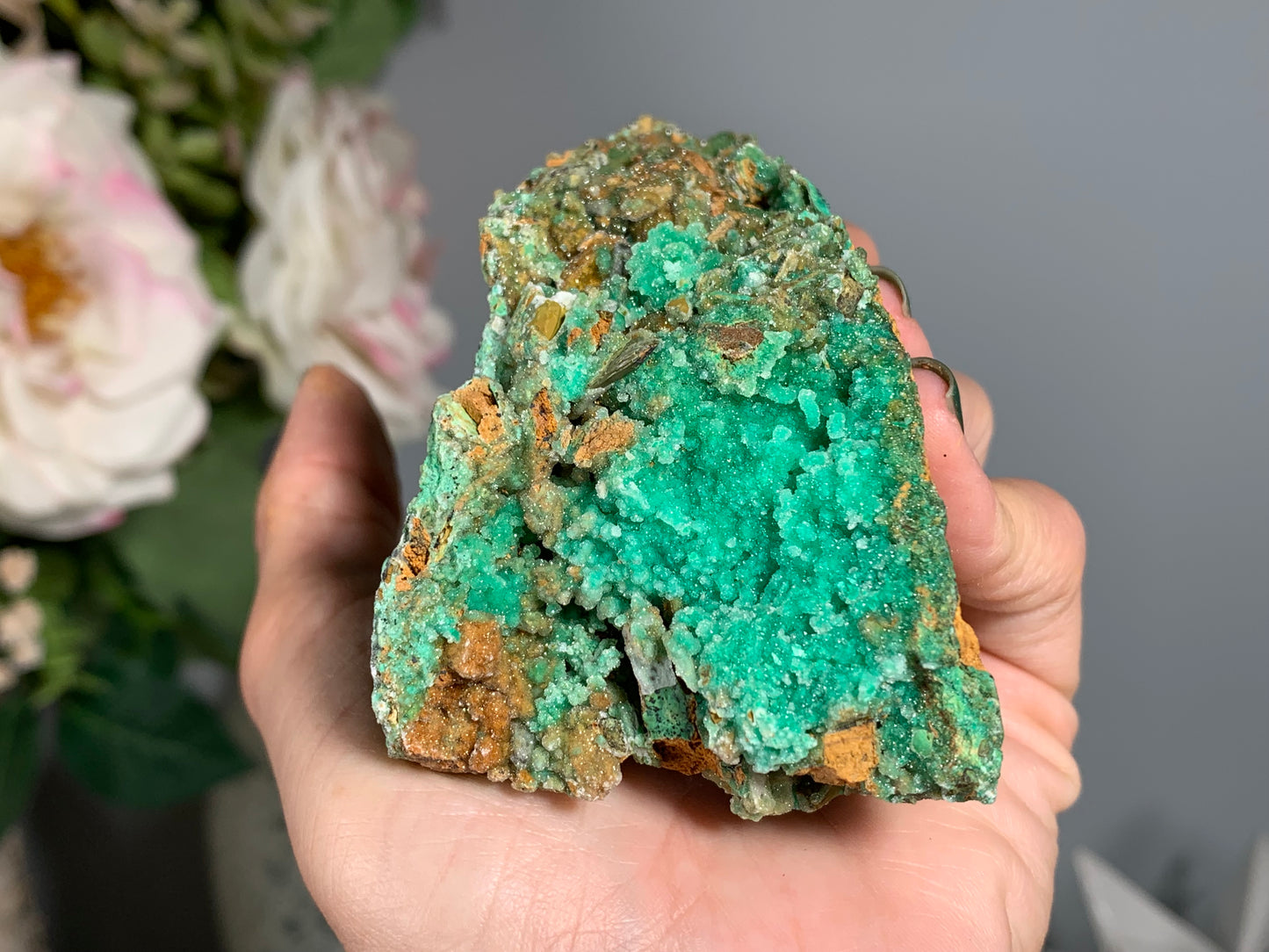 Druzy Chrysoprase (4.1", 105mm)