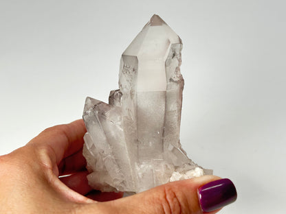 Pink Lemurian Seed (3.7", 94mm)