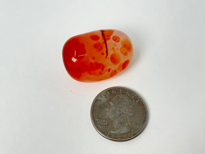 Reserved Carnelian Tumble