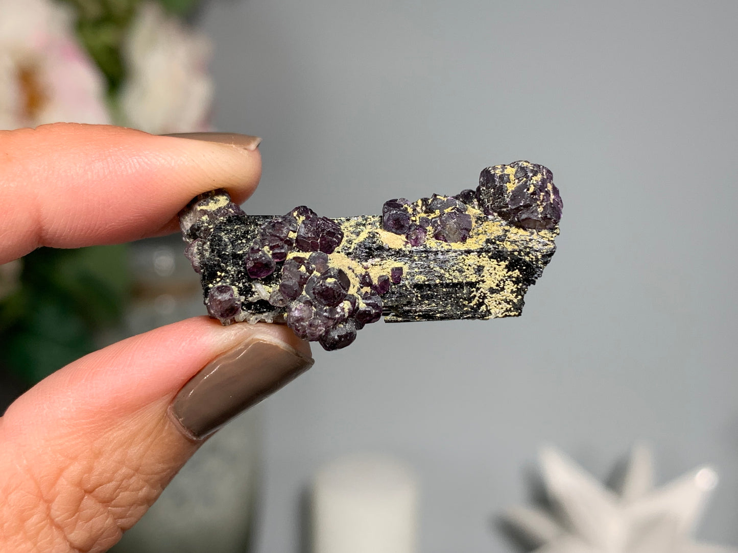 Natural Black Tourmaline with Fluorite Flowers (1.5", 38mm)