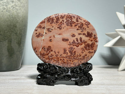 Picture Jasper Slice #255