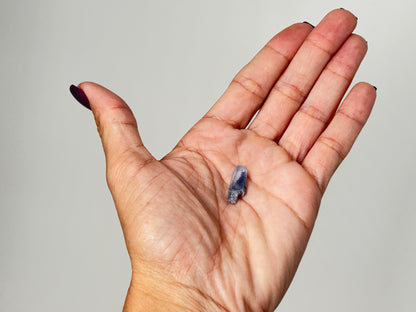 Dumortierite in Quartz (0.8", 20mm)