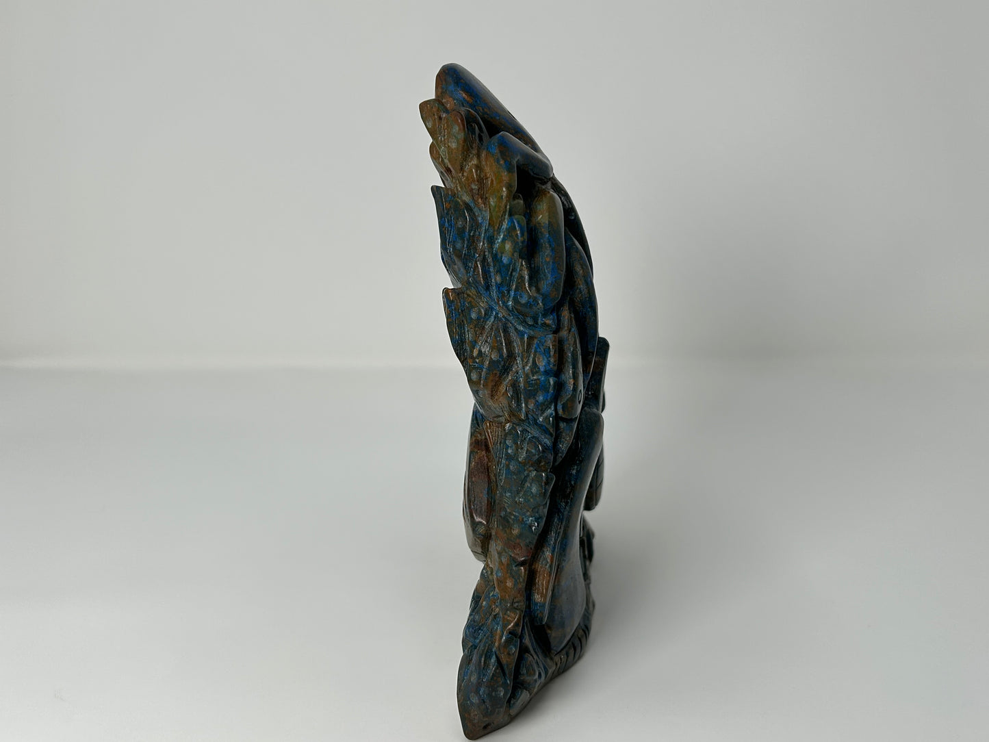 Phoenix Pine Ocean Scenery (7.6", 193mm)