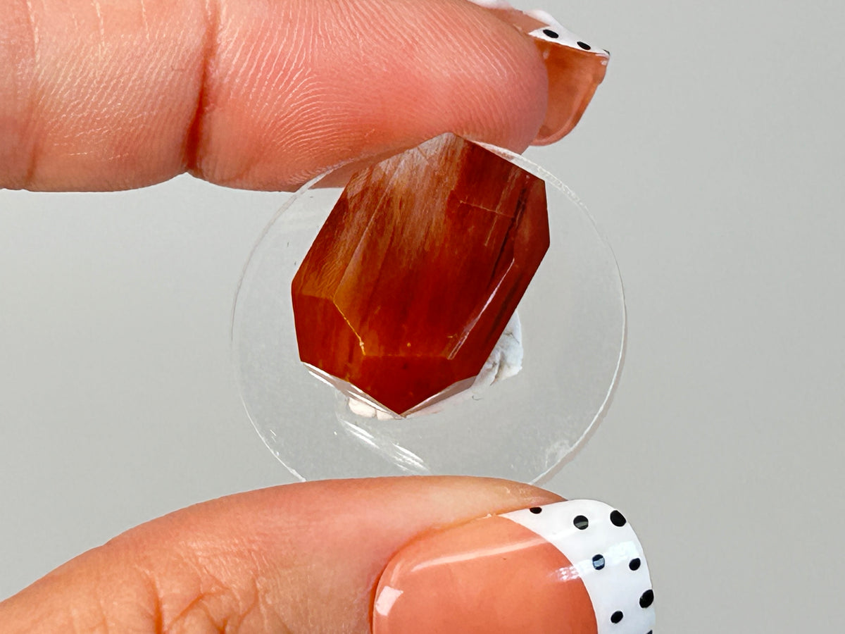 Amphibole with Rutile Gem