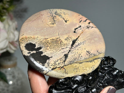 Picture Jasper Slice #280