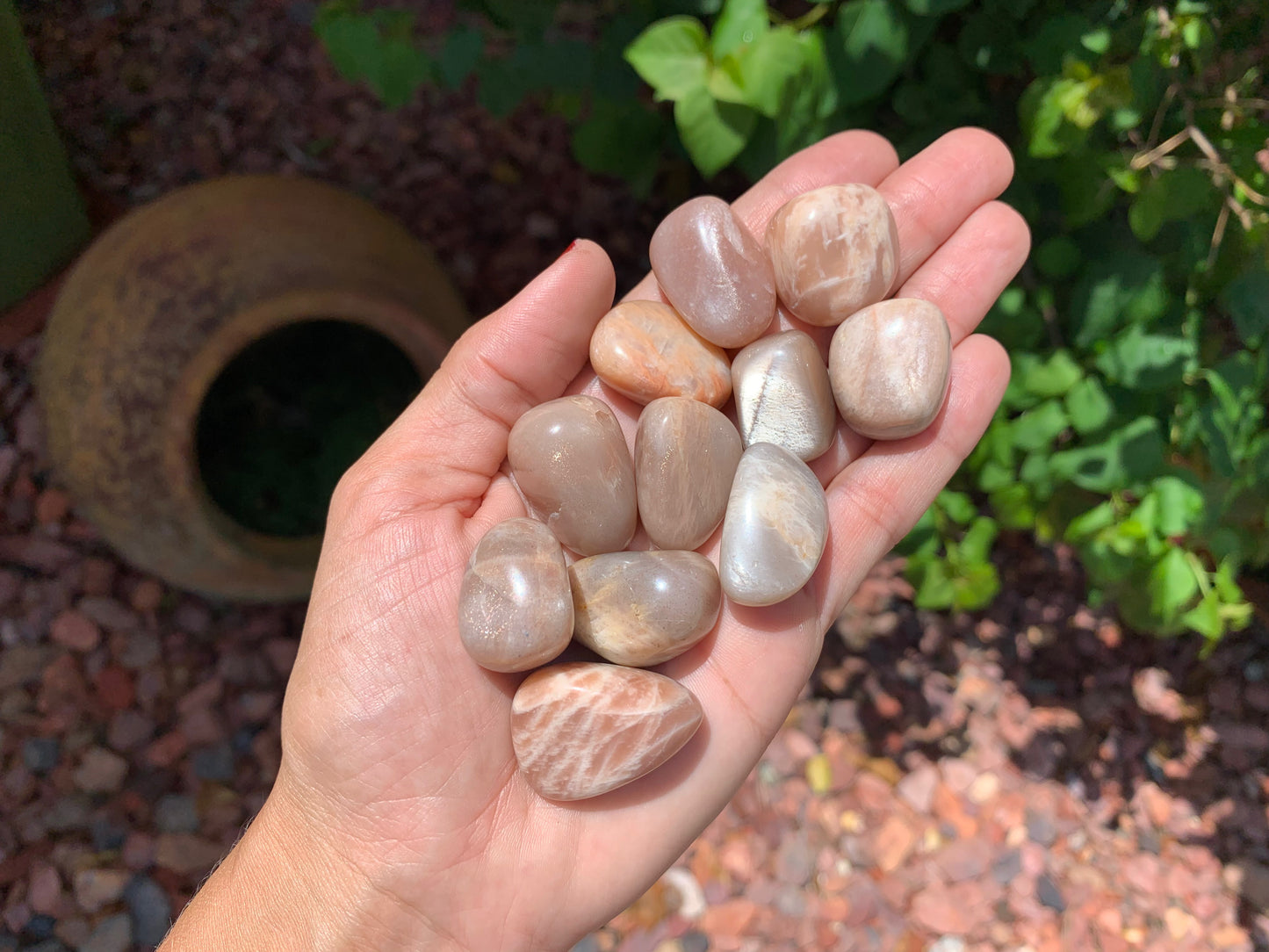 Tumbled Mixed Moonstone