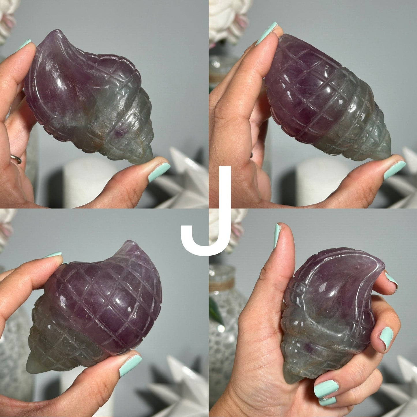 Fluorite Seashell